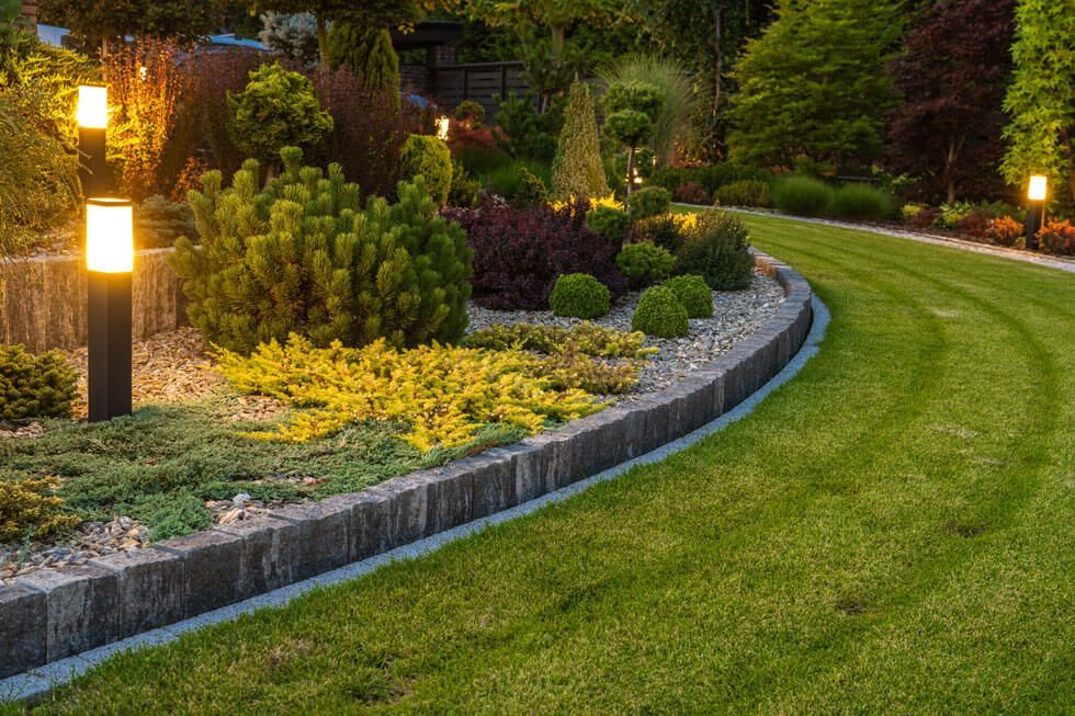 The Benefits of Professional Lawn Services: Why St. Cloud Homeowners Should Invest